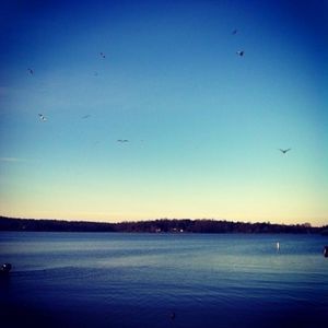 Meet your Posher, Dylan